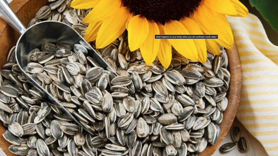 ಪ್ರತಿ ದಿನ ಸೂರ್ಯಕಾಂತಿ ಬೀಜಗಳನ್ನು ತಿಂದರೆ ನಿಮ್ಮ ದೇಹದಲ್ಲಿ ಏನಾಗುತ್ತದೆ?